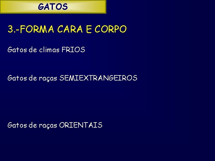 GATOS 3. -FORMA CARA E CORPO Gatos de climas FRIOS Gatos de raças SEMIEXTRANGEIROS