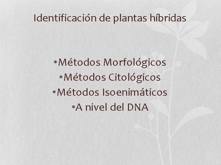 Identificación de plantas híbridas • Métodos Morfológicos • Métodos Citológicos • Métodos Isoenimáticos •