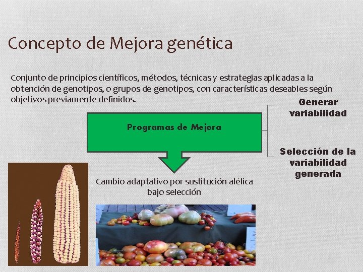 Concepto de Mejora genética Conjunto de principios científicos, métodos, técnicas y estrategias aplicadas a