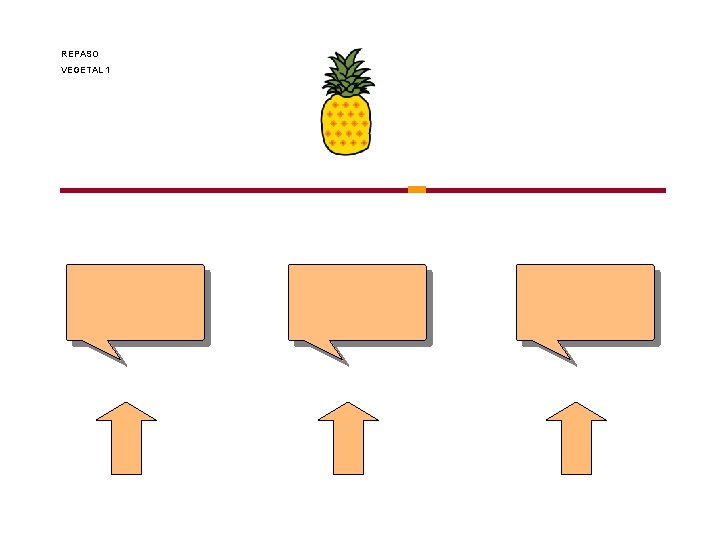 REPASO VEGETAL 1 