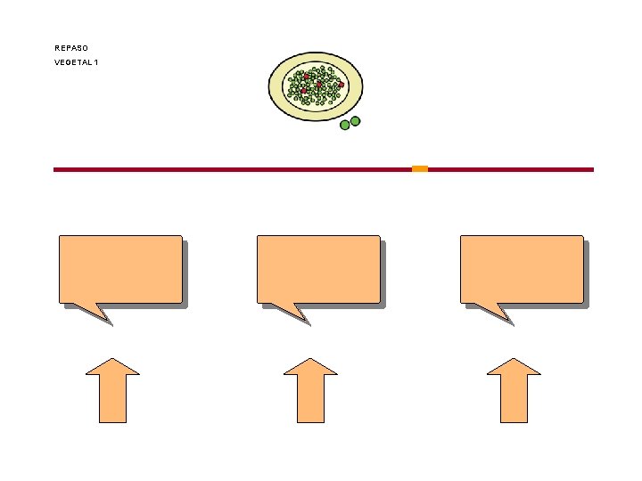 REPASO VEGETAL 1 