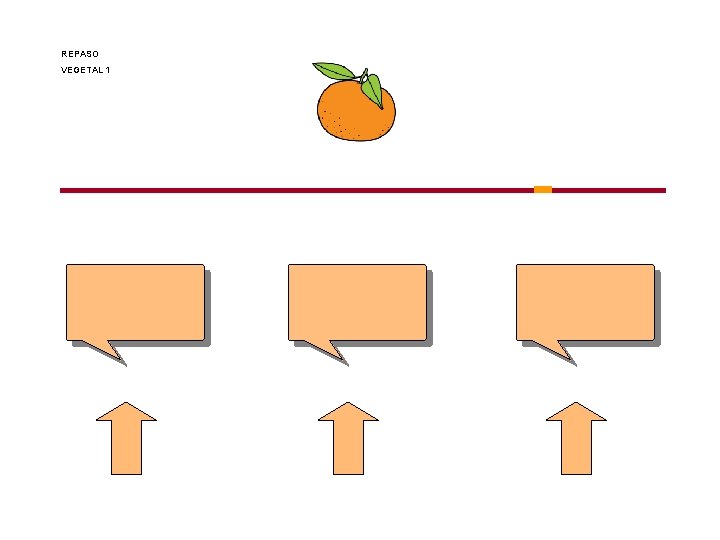 REPASO VEGETAL 1 