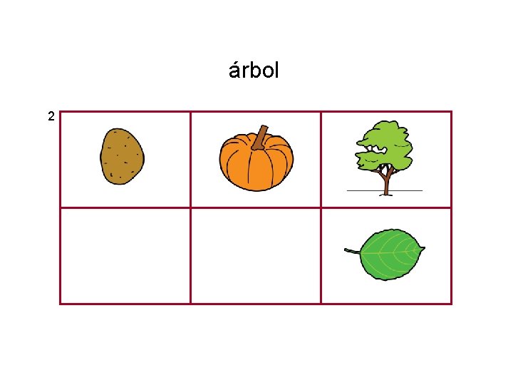 árbol 2 