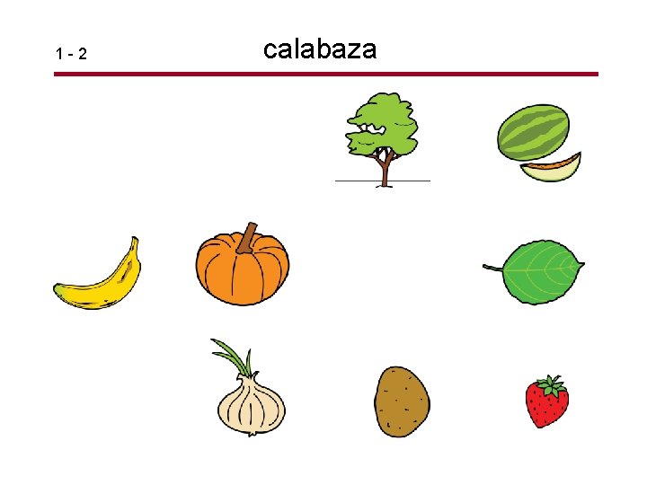 1 -2 calabaza 