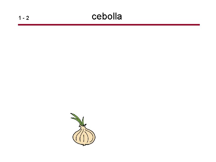 1 -2 cebolla 