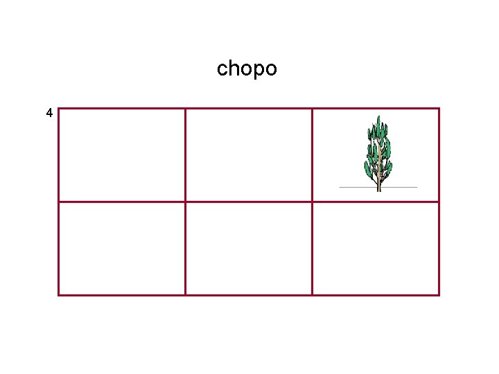 chopo 4 