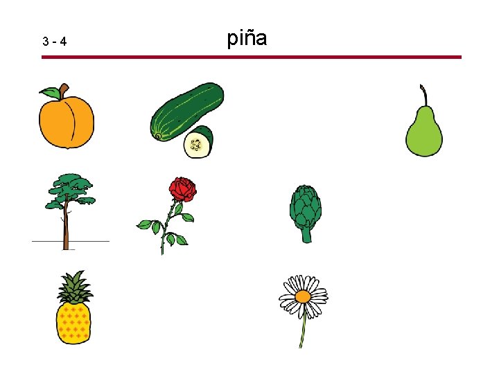 3 -4 piña 