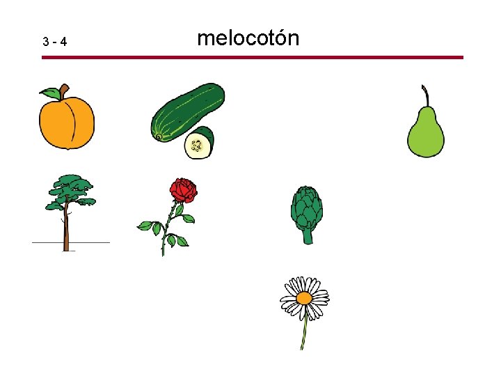 3 -4 melocotón 