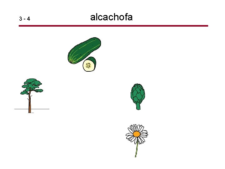 3 -4 alcachofa 