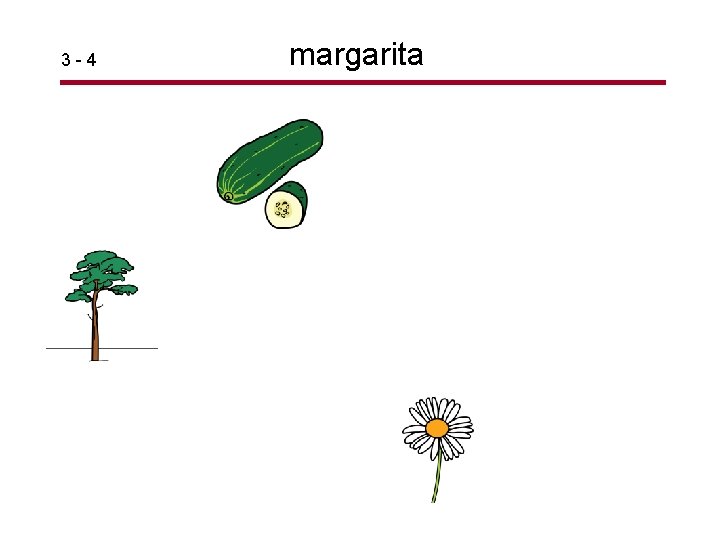 3 -4 margarita 