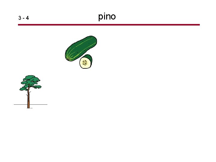 3 -4 pino 