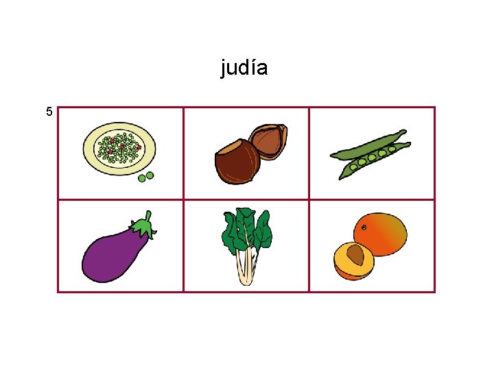 judía 5 