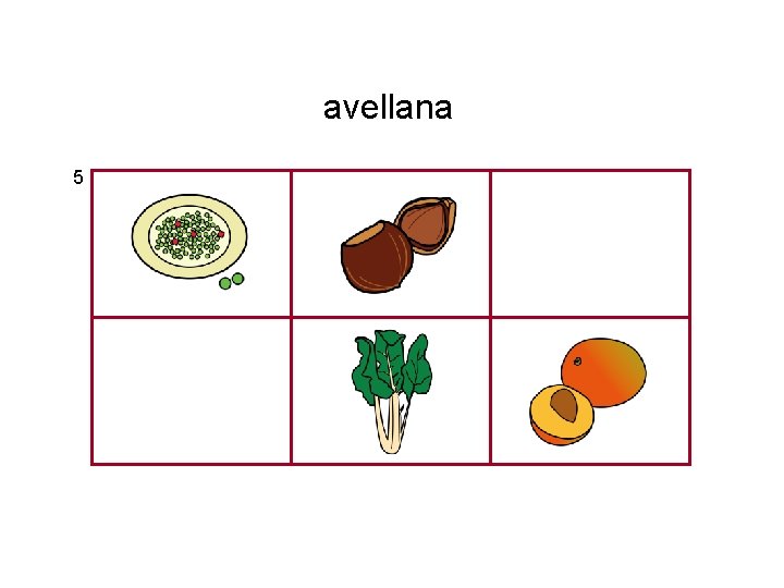 avellana 5 