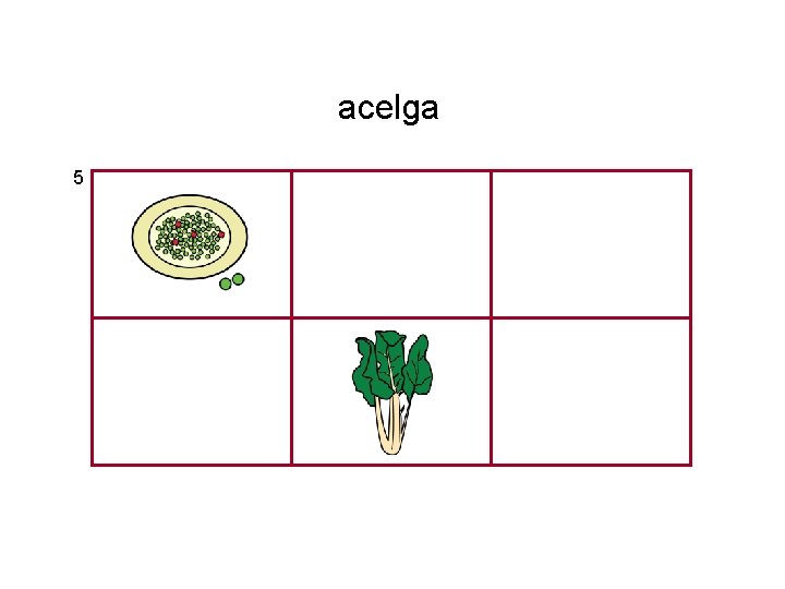 acelga 5 