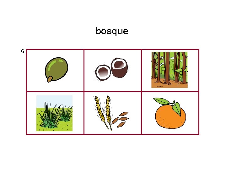 bosque 6 