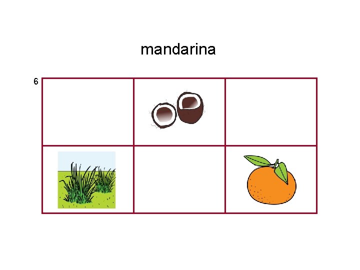 mandarina 6 
