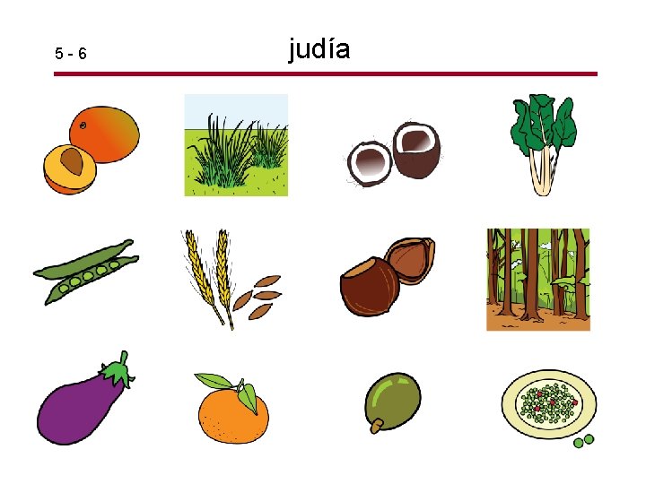 5 -6 judía 