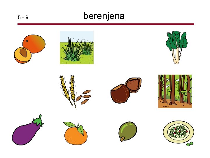 5 -6 berenjena 