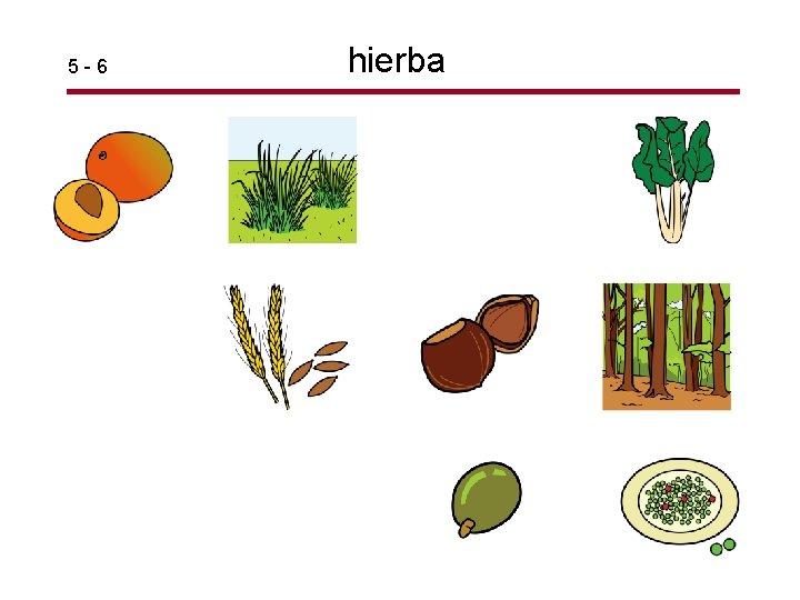 5 -6 hierba 