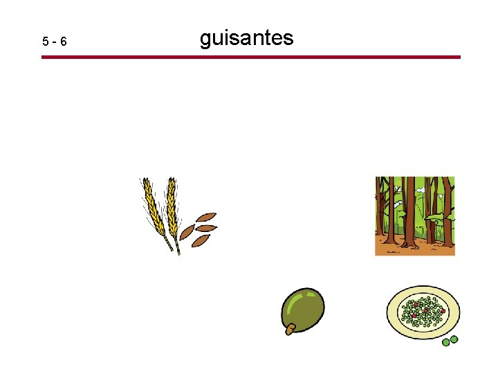 5 -6 guisantes 