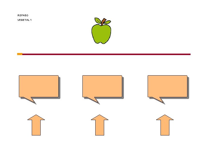 REPASO VEGETAL 1 