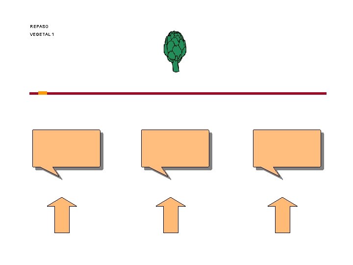 REPASO VEGETAL 1 