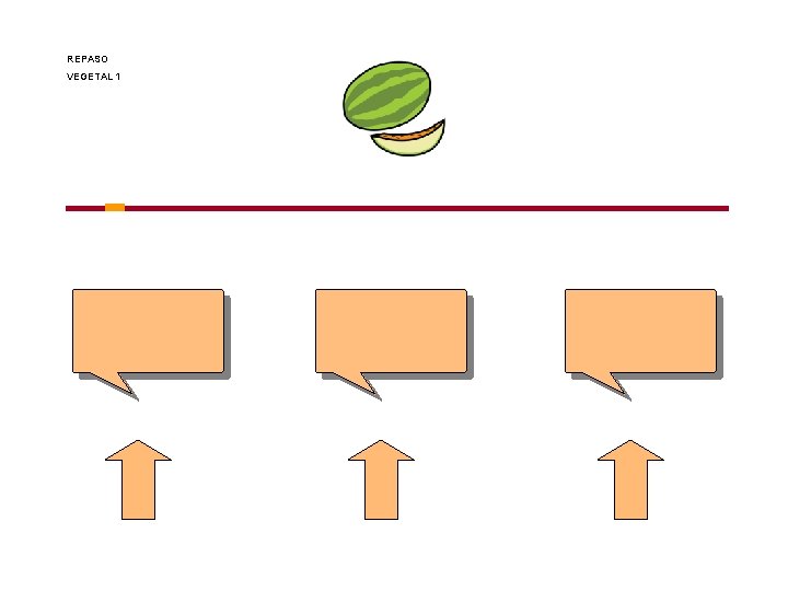 REPASO VEGETAL 1 