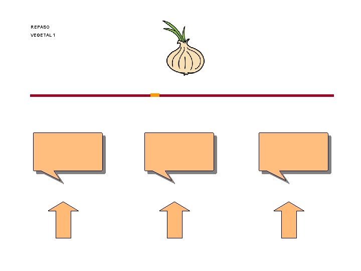 REPASO VEGETAL 1 