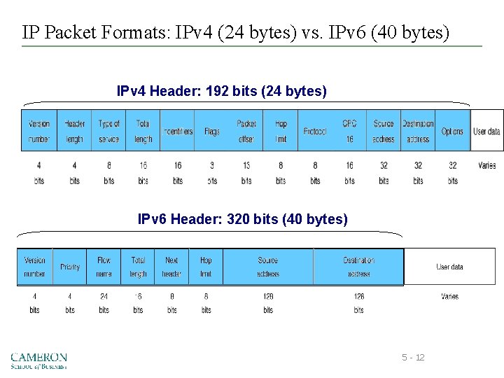 IP Packet Formats: IPv 4 (24 bytes) vs. IPv 6 (40 bytes) IPv 4