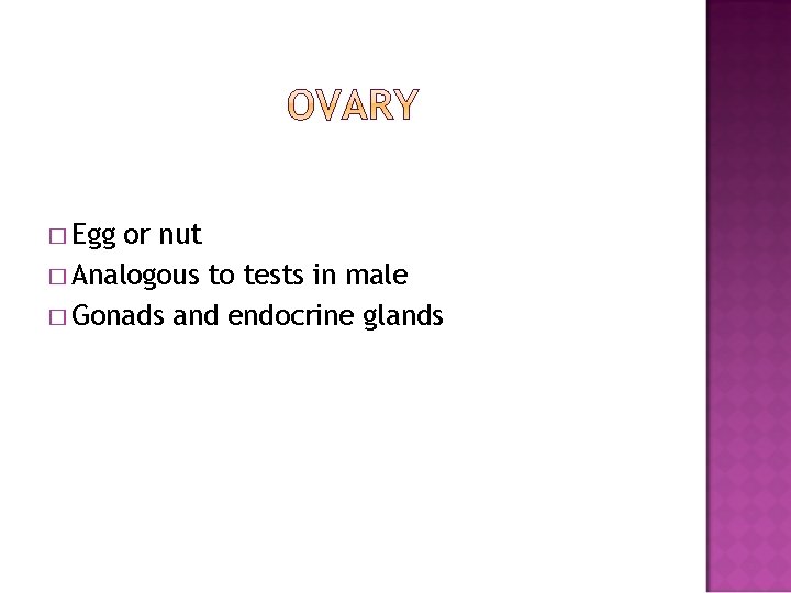 � Egg or nut � Analogous to tests in male � Gonads and endocrine