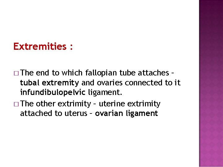 Extremities : � The end to which fallopian tube attaches – tubal extremity and