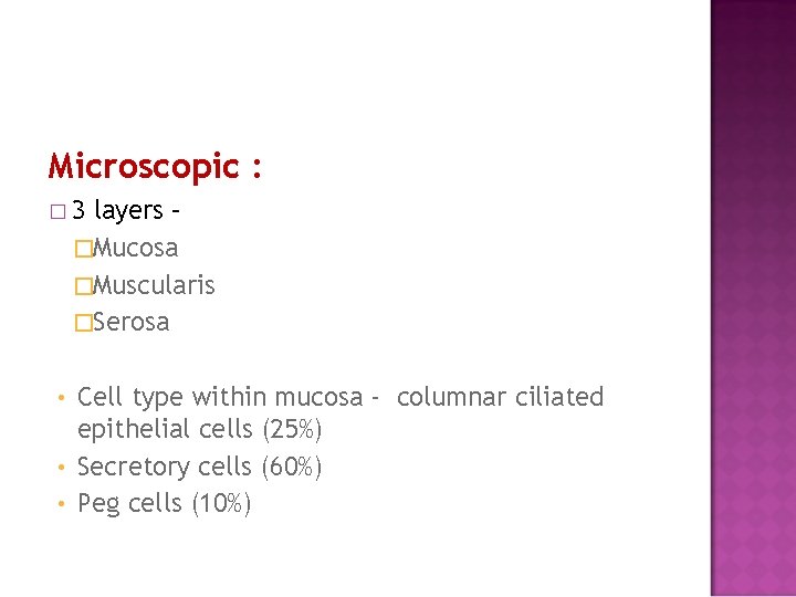 Microscopic : � 3 layers – �Mucosa �Muscularis �Serosa Cell type within mucosa -