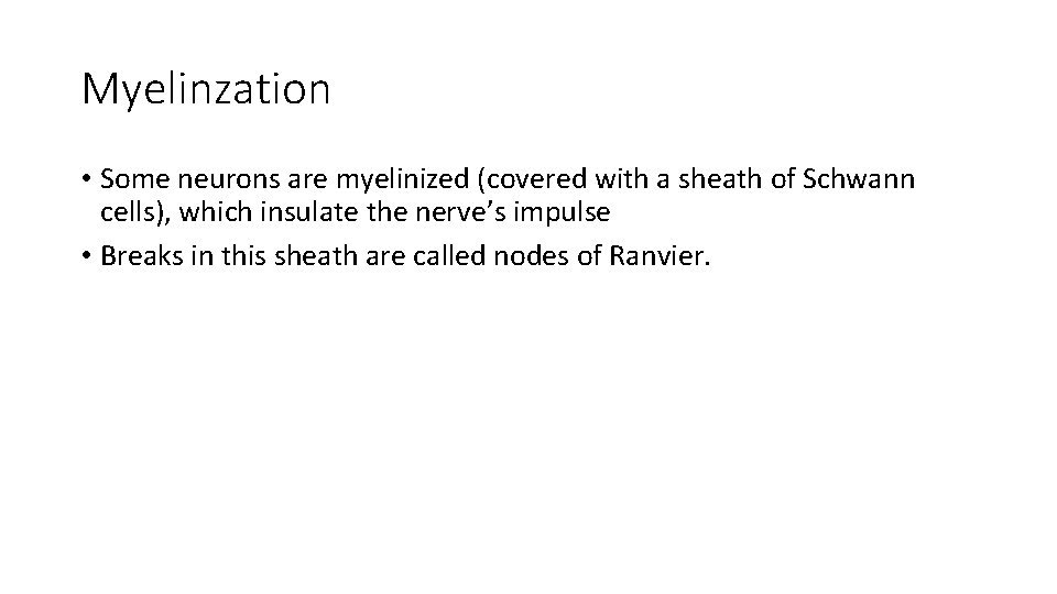 Myelinzation • Some neurons are myelinized (covered with a sheath of Schwann cells), which