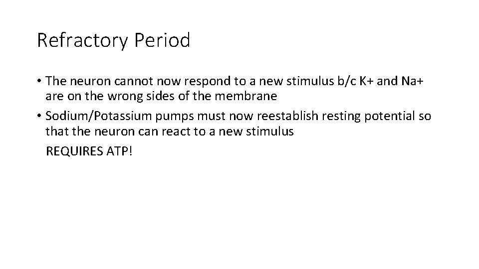 Refractory Period • The neuron cannot now respond to a new stimulus b/c K+