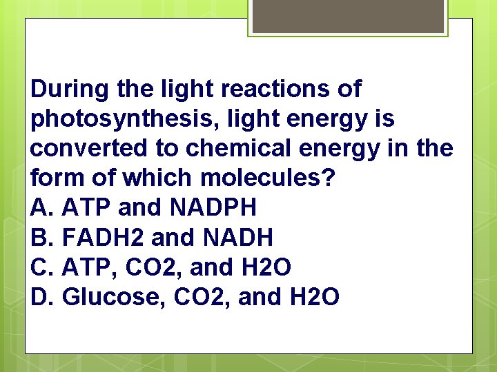 During the light reactions of photosynthesis, light energy is converted to chemical energy in