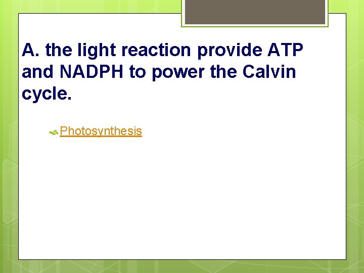 A. the light reaction provide ATP and NADPH to power the Calvin cycle. Photosynthesis