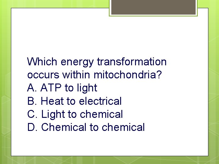 Which energy transformation occurs within mitochondria? A. ATP to light B. Heat to electrical