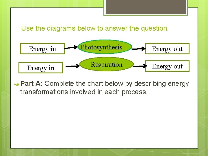 Use the diagrams below to answer the question. Energy in Photosynthesis Energy out Energy