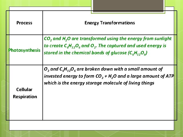 Process Energy Transformations CO 2 and H 2 O are transformed using the energy
