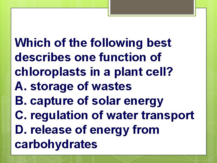 Which of the following best describes one function of chloroplasts in a plant cell?