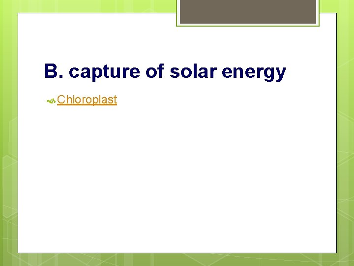 B. capture of solar energy Chloroplast 