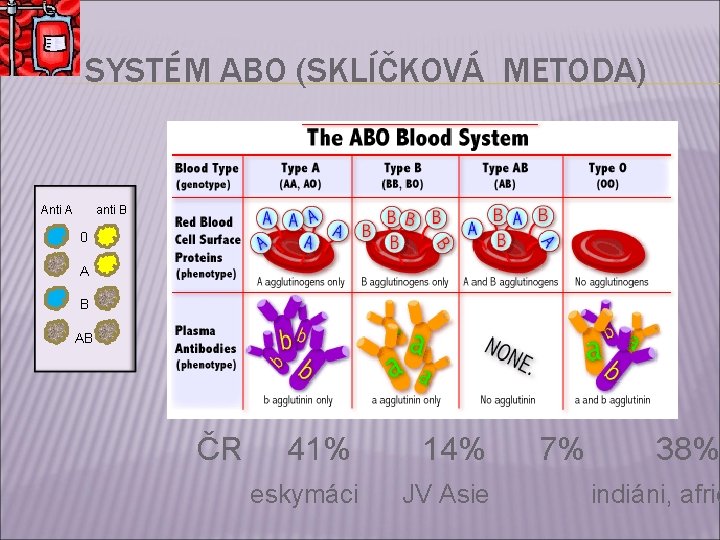 SYSTÉM ABO (SKLÍČKOVÁ METODA) Anti A anti B 0 A B AB ČR 41%