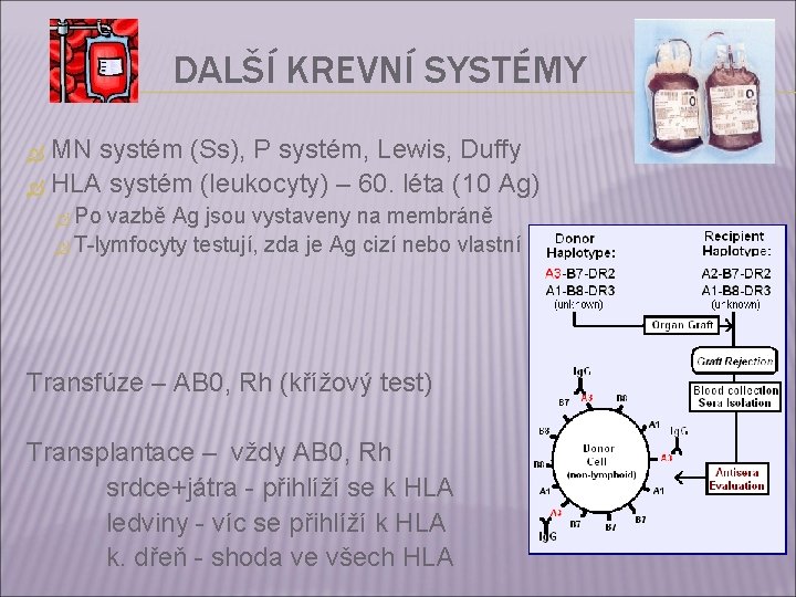 DALŠÍ KREVNÍ SYSTÉMY MN systém (Ss), P systém, Lewis, Duffy HLA systém (leukocyty) –