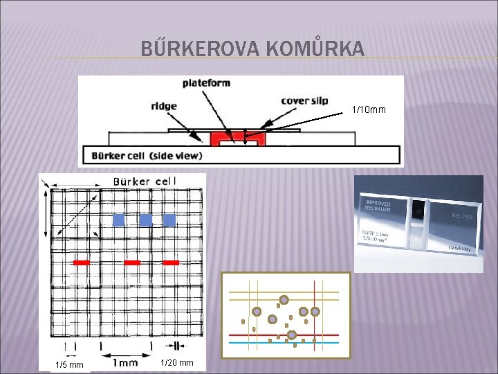 BŰRKEROVA KOMŮRKA 1/10 mm 1/5 mm 1/20 mm 