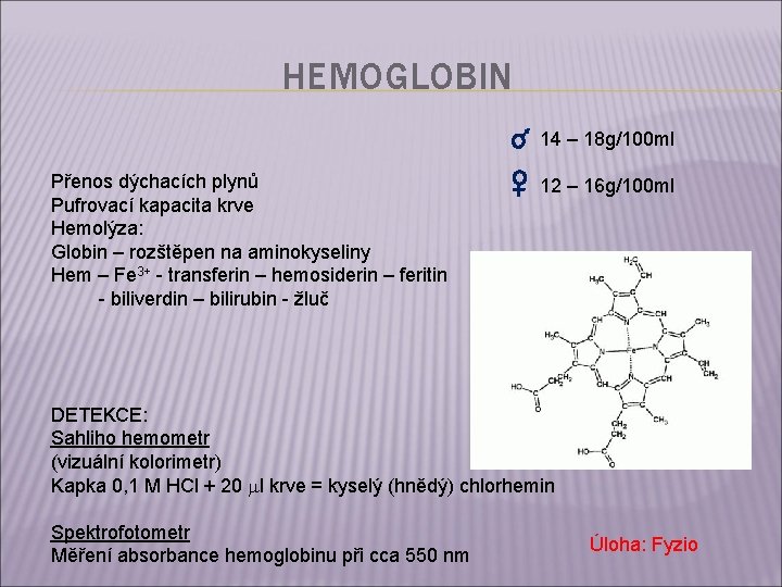 HEMOGLOBIN 14 – 18 g/100 ml Přenos dýchacích plynů Pufrovací kapacita krve Hemolýza: Globin