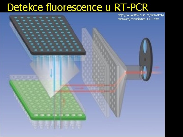 Detekce fluorescence u RT-PCR http: //www. lfhk. cuni. cz/farmakol/i nterakce/micuda/real-PCR. htm 