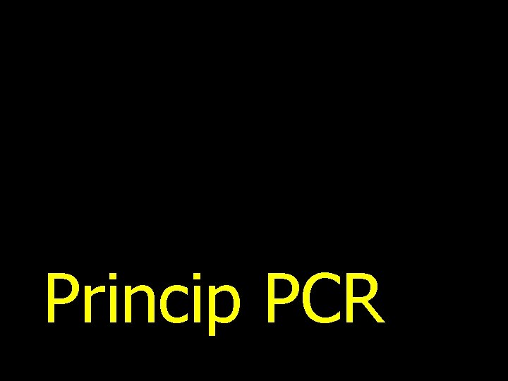 Princip PCR 