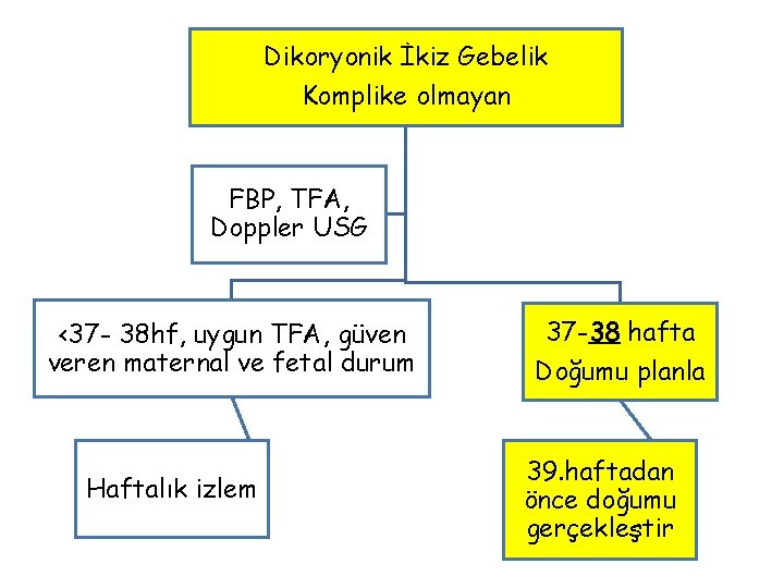 Dikoryonik İkiz Gebelik Komplike olmayan FBP, TFA, Doppler USG <37 - 38 hf, uygun