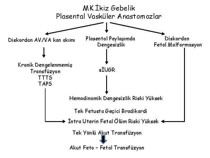 MK İkiz Gebelik Plasental Vasküler Anastomozlar Diskordan AV/VA kan akımı Kronik Dengelenmemiş Transfüzyon TTTS