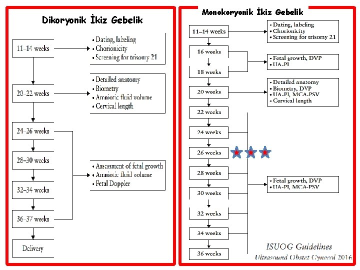 Dikoryonik İkiz Gebelik Monokoryonik İkiz Gebelik 